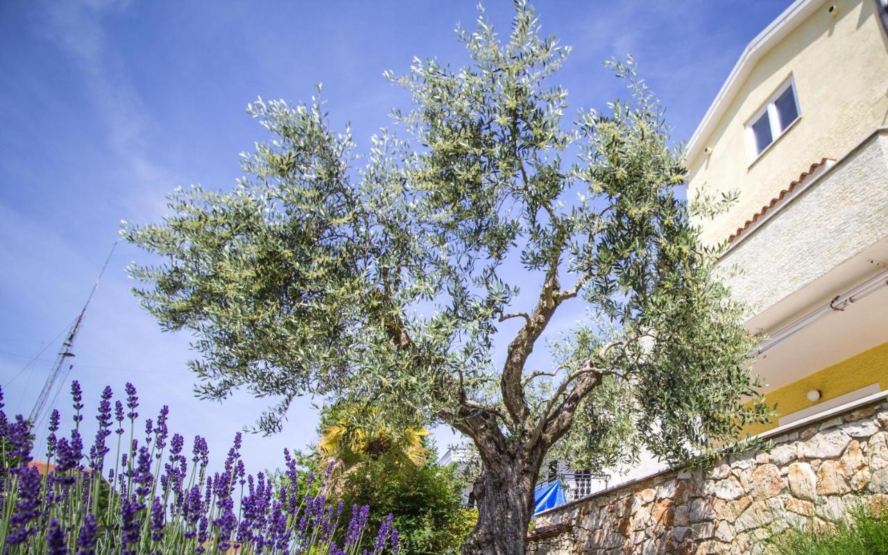 Apartments Balach Poreč Exteriér fotografie